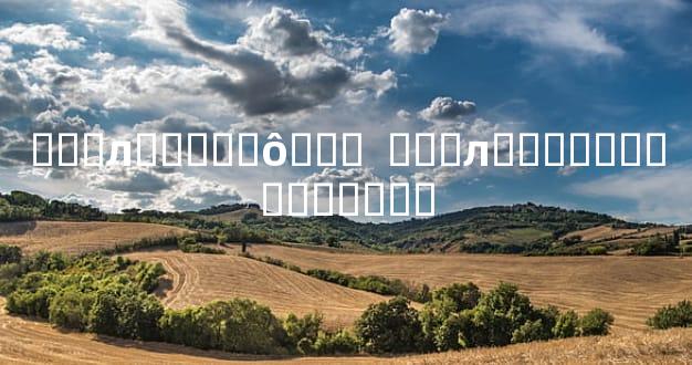 ���л�����ô���  ���л�����������ƽ��